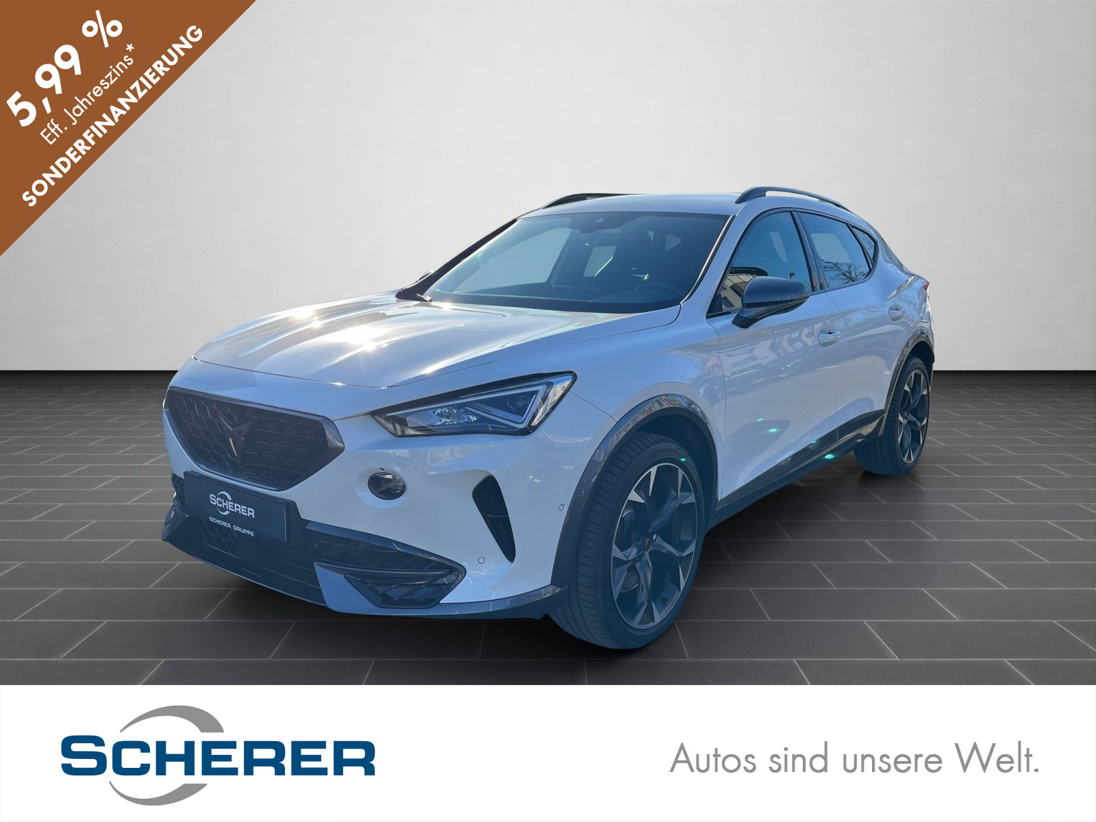 Formentor VZ 2.0 TSI DSG 4Drive NAVI SHZ VOLL LED