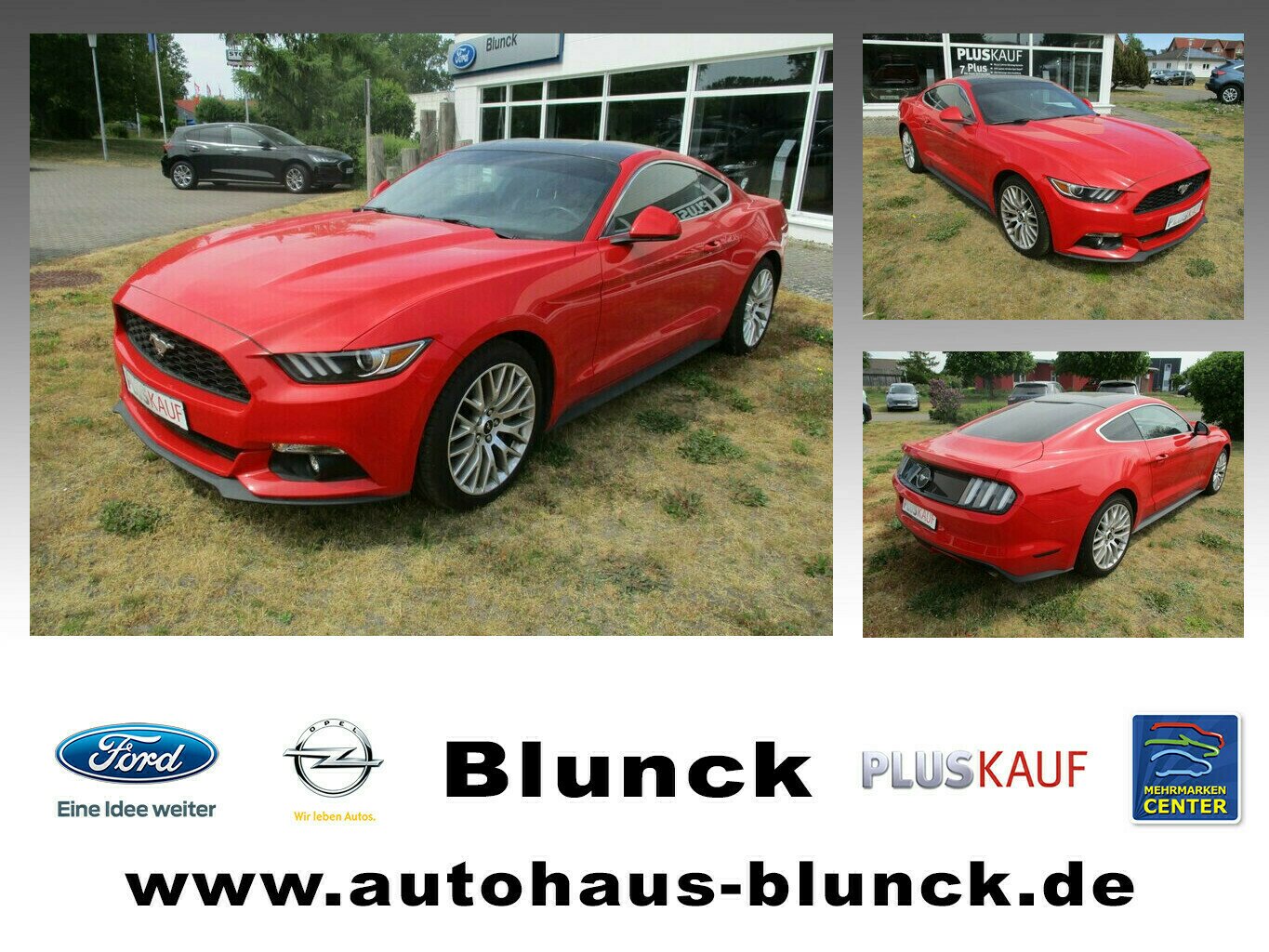 Ford Mustang 2.3 l Coupe