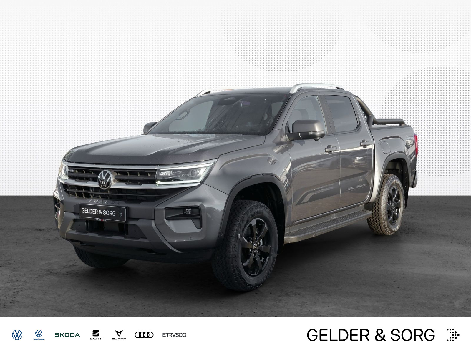 Amarok PanAmericana V6 DC 4M *Rollcover*Stand*NAV*