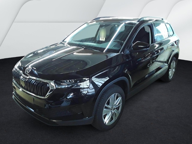 Karoq Selection 2.0 TDI 4X4 DSG AHZV LED PDC Rückfahrkamera ACC