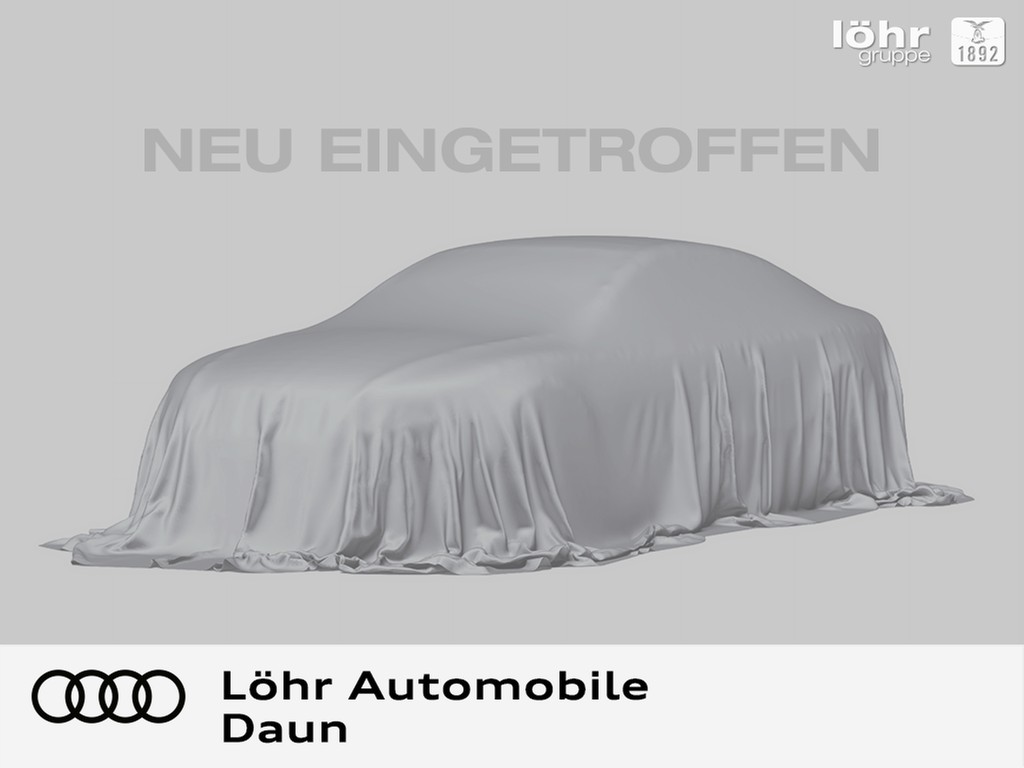 Audi e-tron 55 quattro advanced Panodach