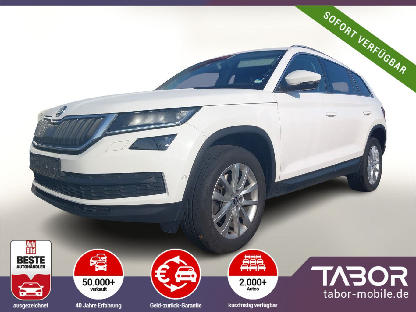 Kodiaq 2.0 TDI 200 DSG 4x4 Style LED Nav AHK ViC