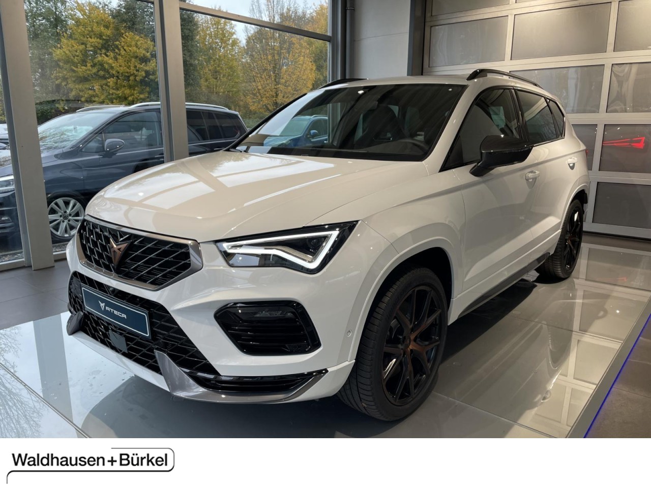 ATECA VZ 2.0 TSI AHK+ACC+PANO+360 KAMERA+BEATS+
