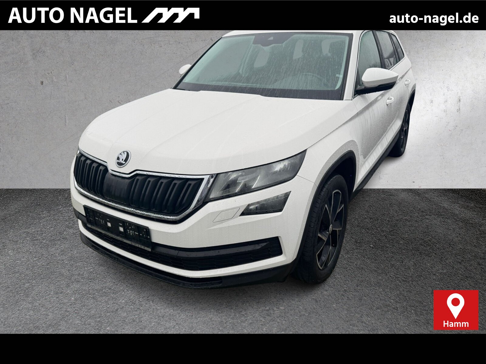 Skoda Kodiaq 2.0 TDI Ambition