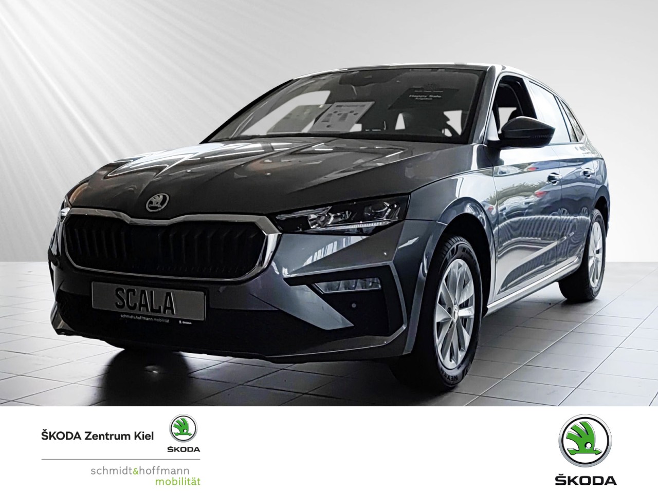 Scala Selection 1.0 TSI Navi Rückfahrkamera