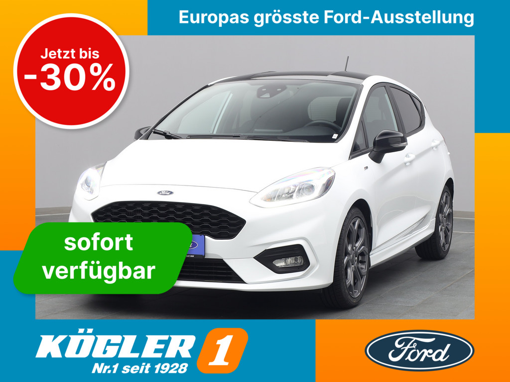 Ford Fiesta ST-Line 100PS Winter-P Easy-Driver-P