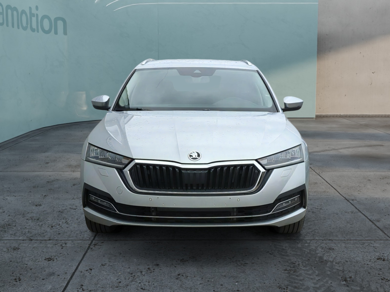 Skoda Octavia Einpark