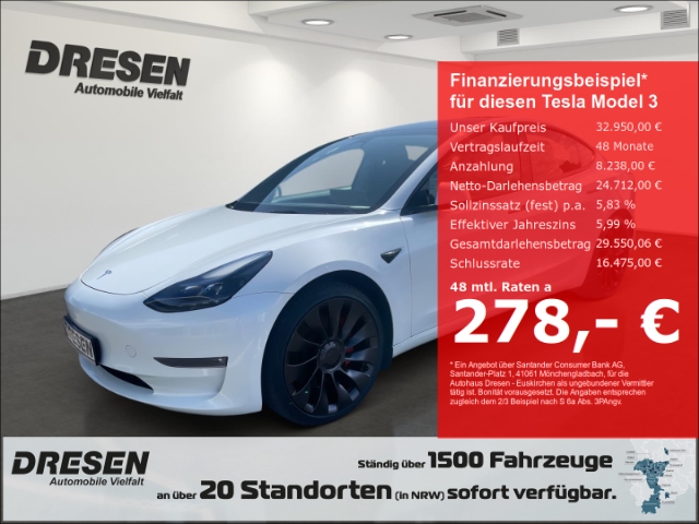 Model 3 Dual AWD Tesla Performance AWD(393 kW 534 PS)