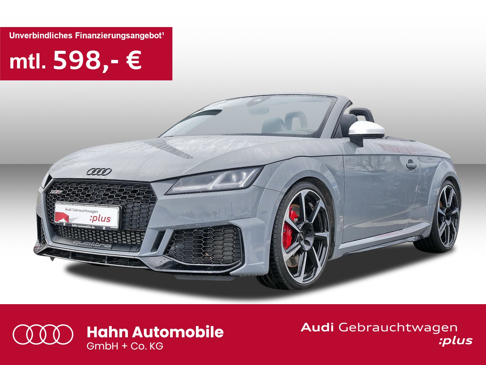 TT RS Roadster TFSI quattro Sportabg Matrix Rückf