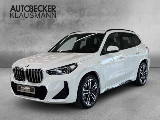 X1 xDrive20 M Sport LMR 19