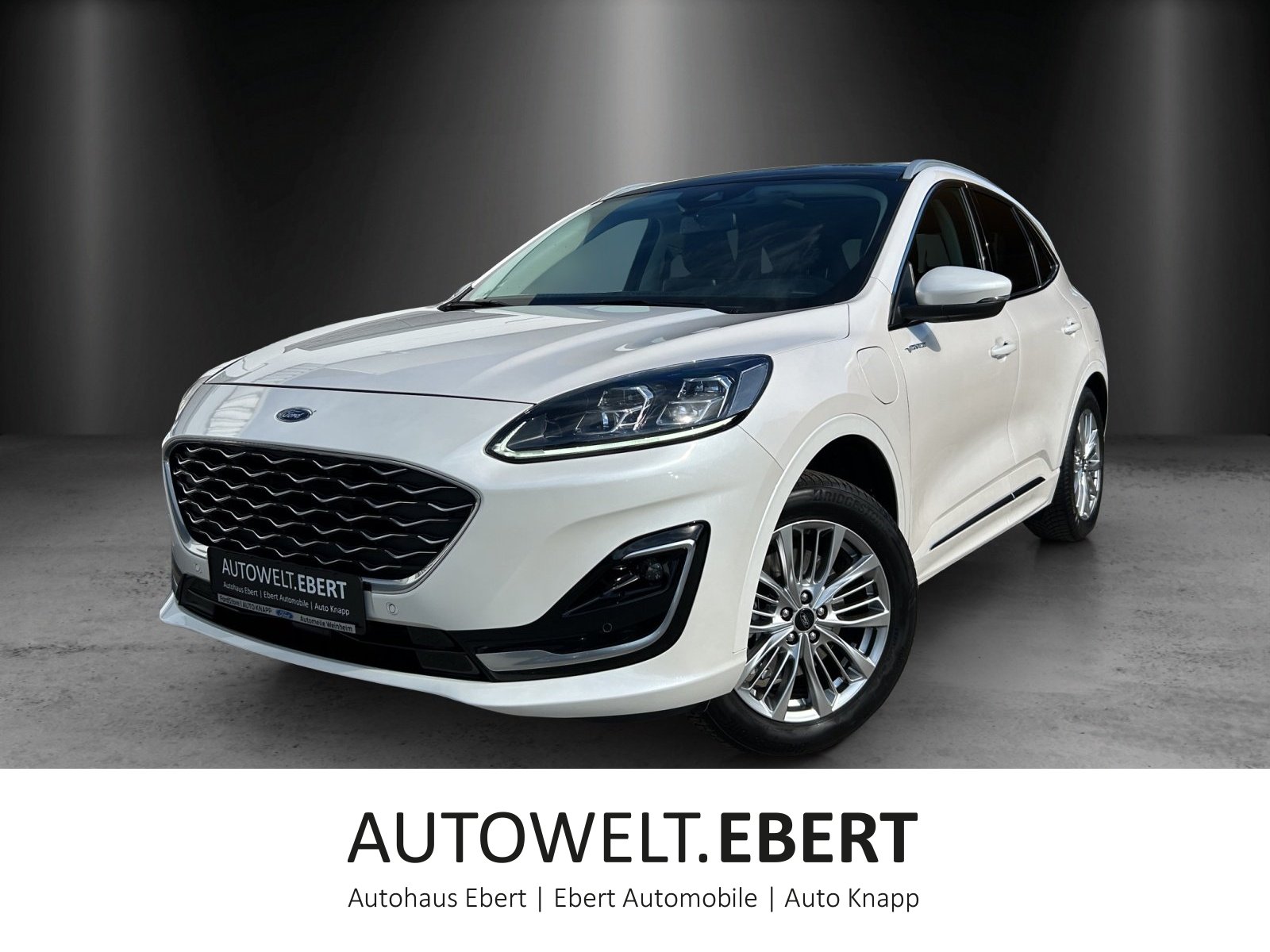 Kuga 2.5 PHEV Vignale Aut./LED/AHK/PANO/NAVI/