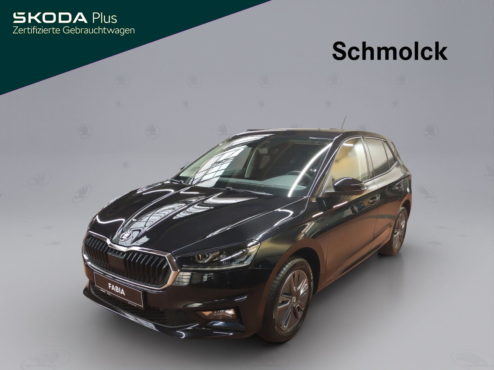 Fabia Tour 1.0 TSI DSG ACC LED NAVI RFK DAB PDC