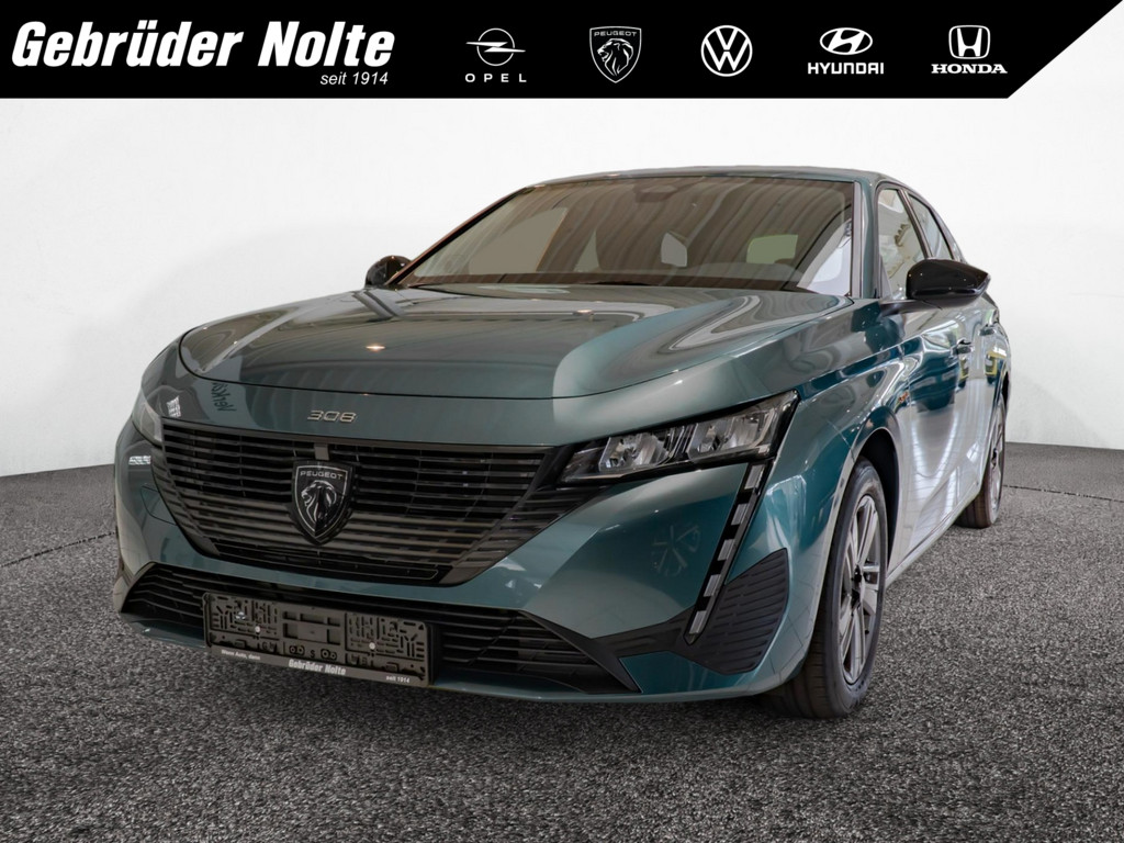 308 SW STYLE HYBRID 145 e-DSC6