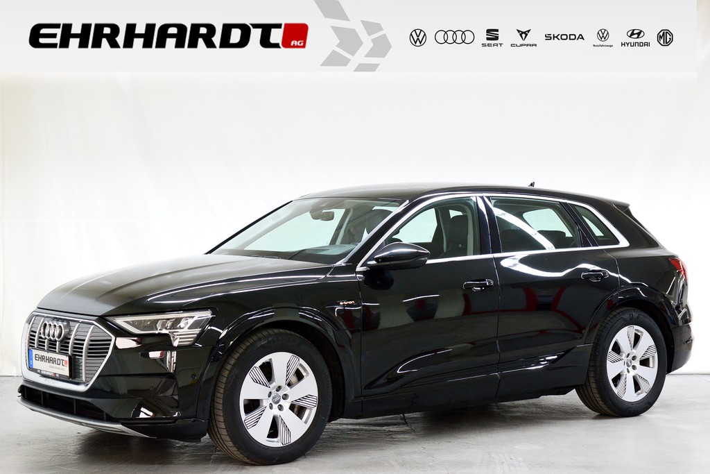 Audi e-tron advanced 55 quattro FW EL SITZE HECKKL