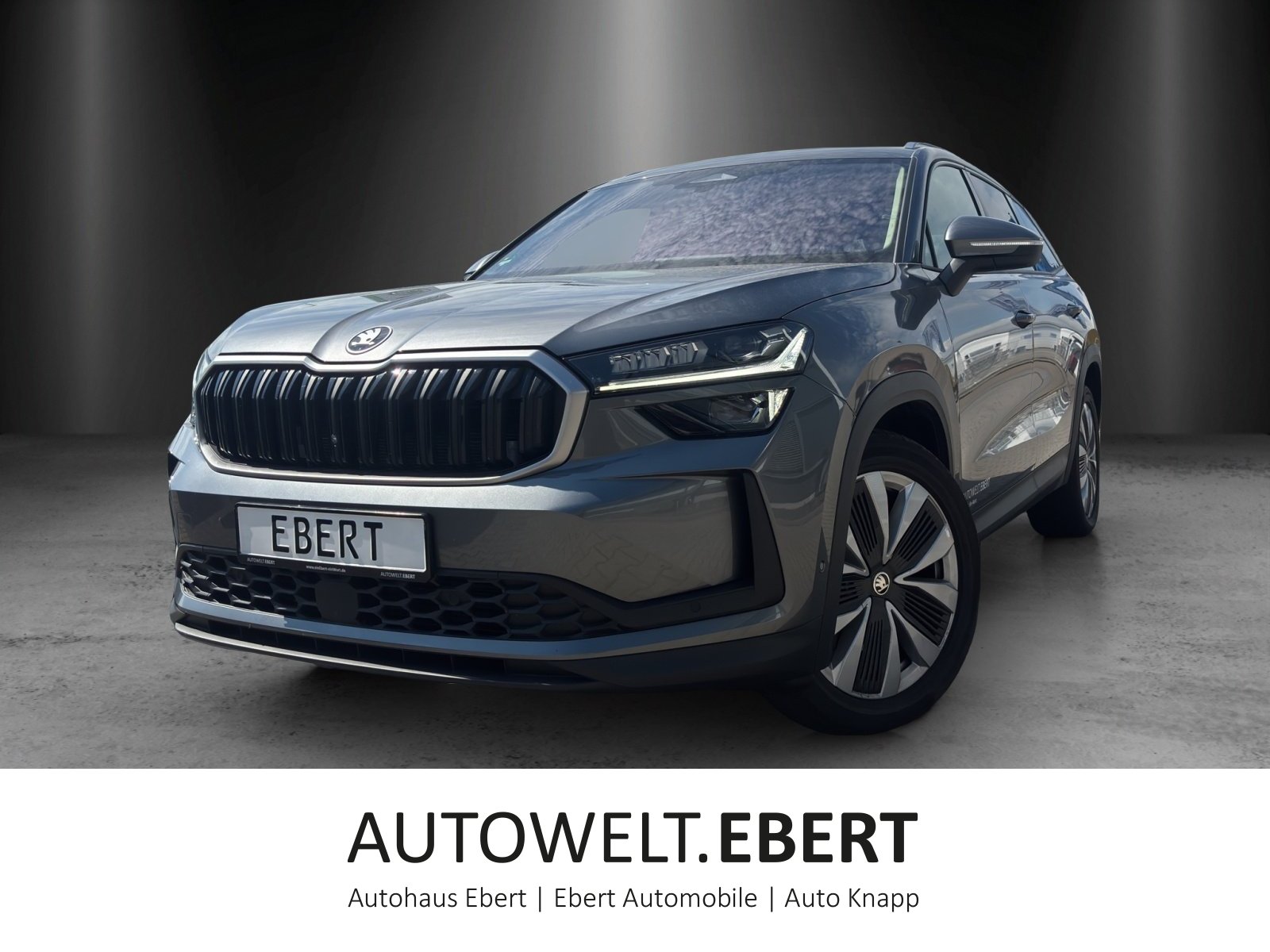 Kodiaq Selection 2,0 TDI 142 kW DSG 4x4