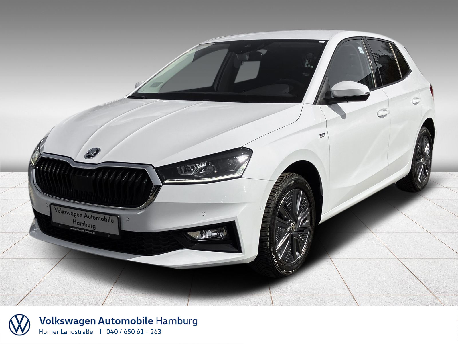 Fabia 1.0 TSI Selection LED Sitzhzg Virtual