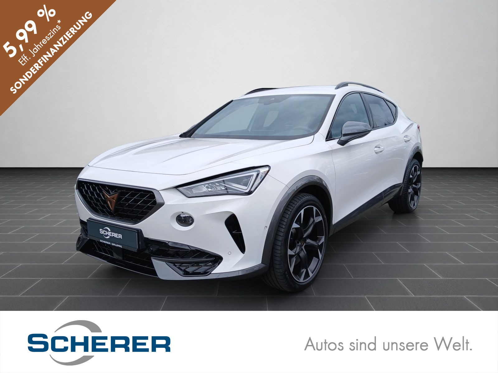 Formentor VZ 2.0 TSI DSG 4Drive NAVI SHZ VOLL LED ACC RFK