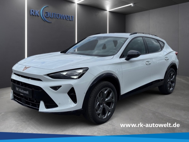 Formentor 2.0 TDI AHK Edge TopView Intelligent Winter-Paket
