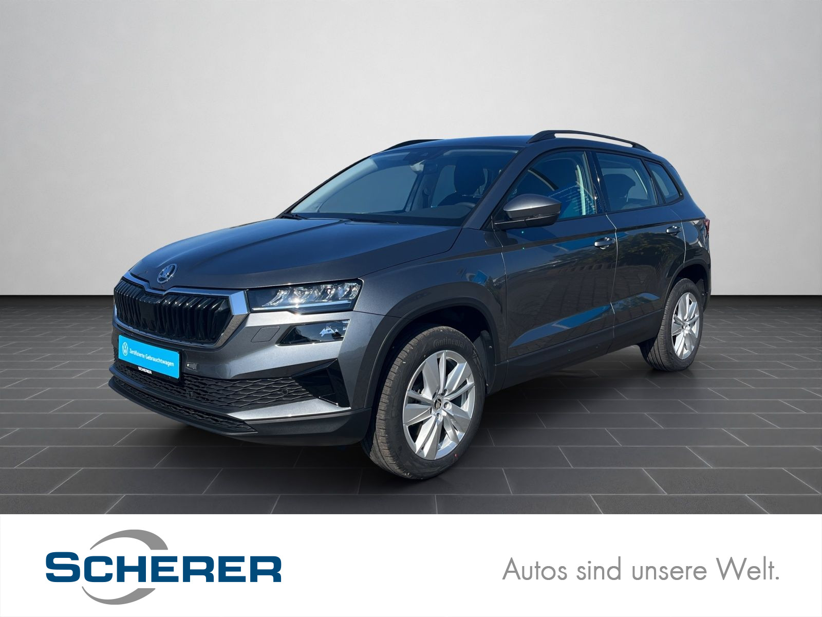Karoq 1.5 TSI *Selection* DSG LED Navi SHZ RFK GRA VKZ-Erk.
