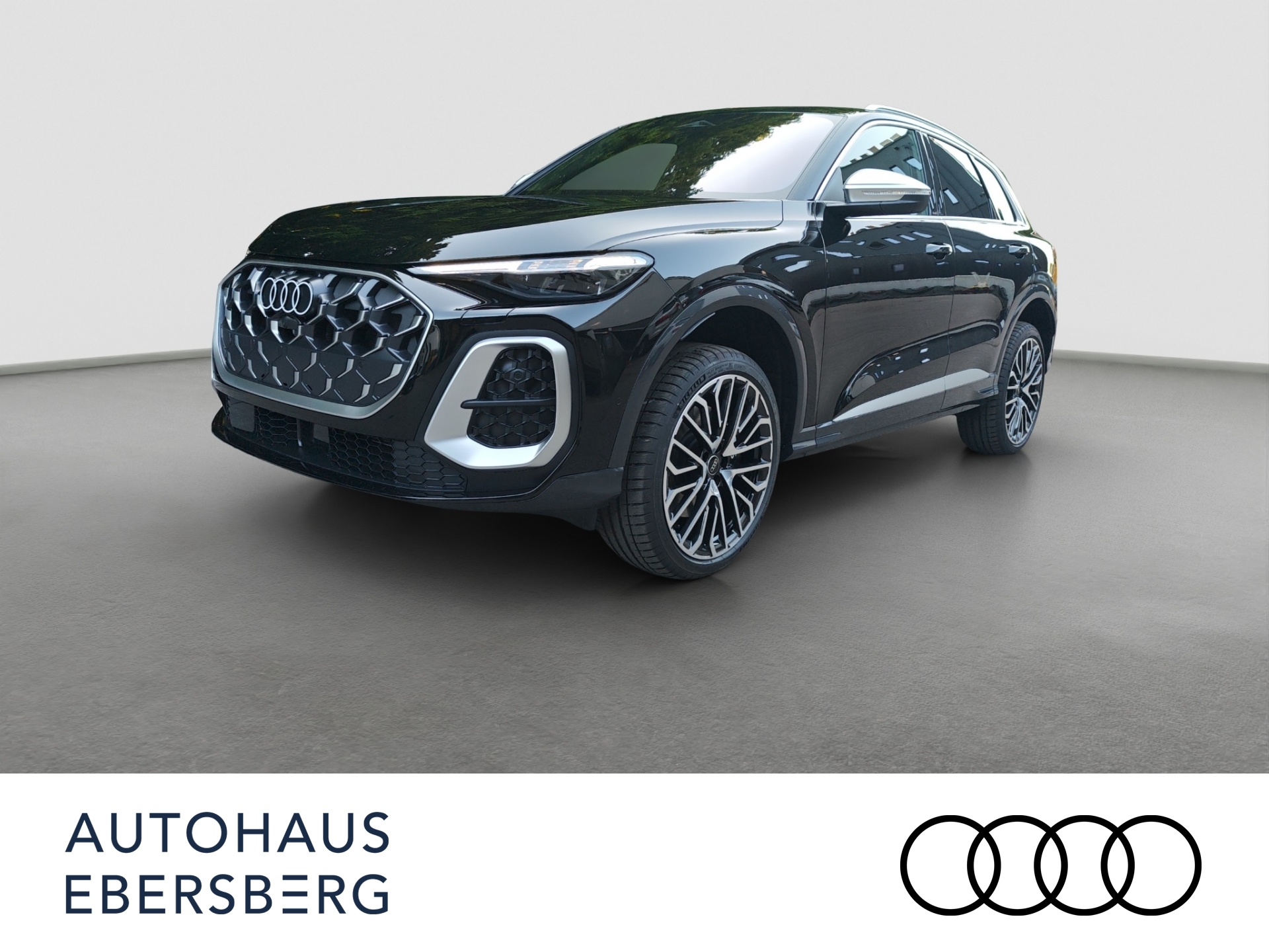 SQ5 3.0 TSI S tronic MATRIX HUD 360° Sthzg Pano