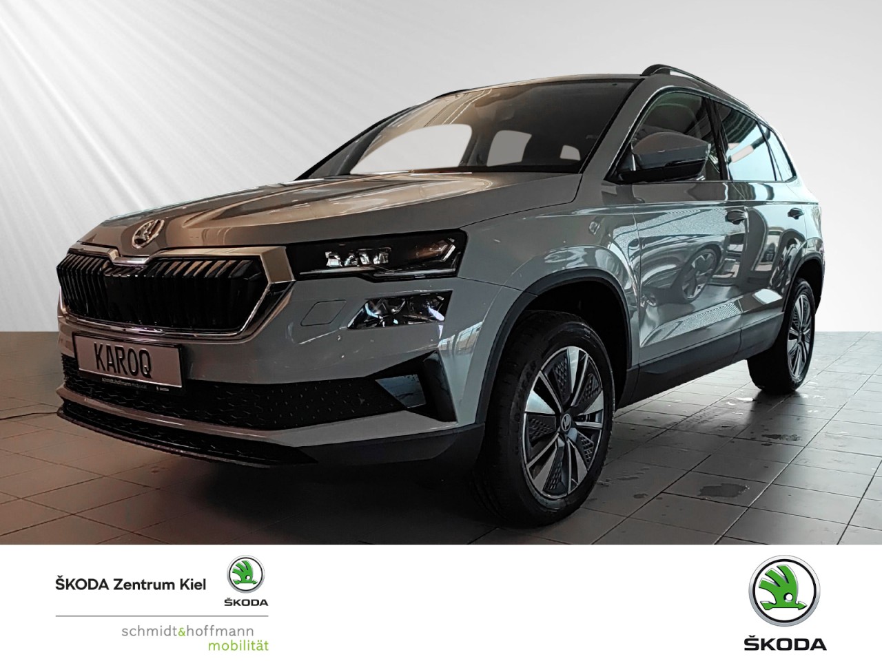 Karoq Selection Klima Navi Einparkhilfe