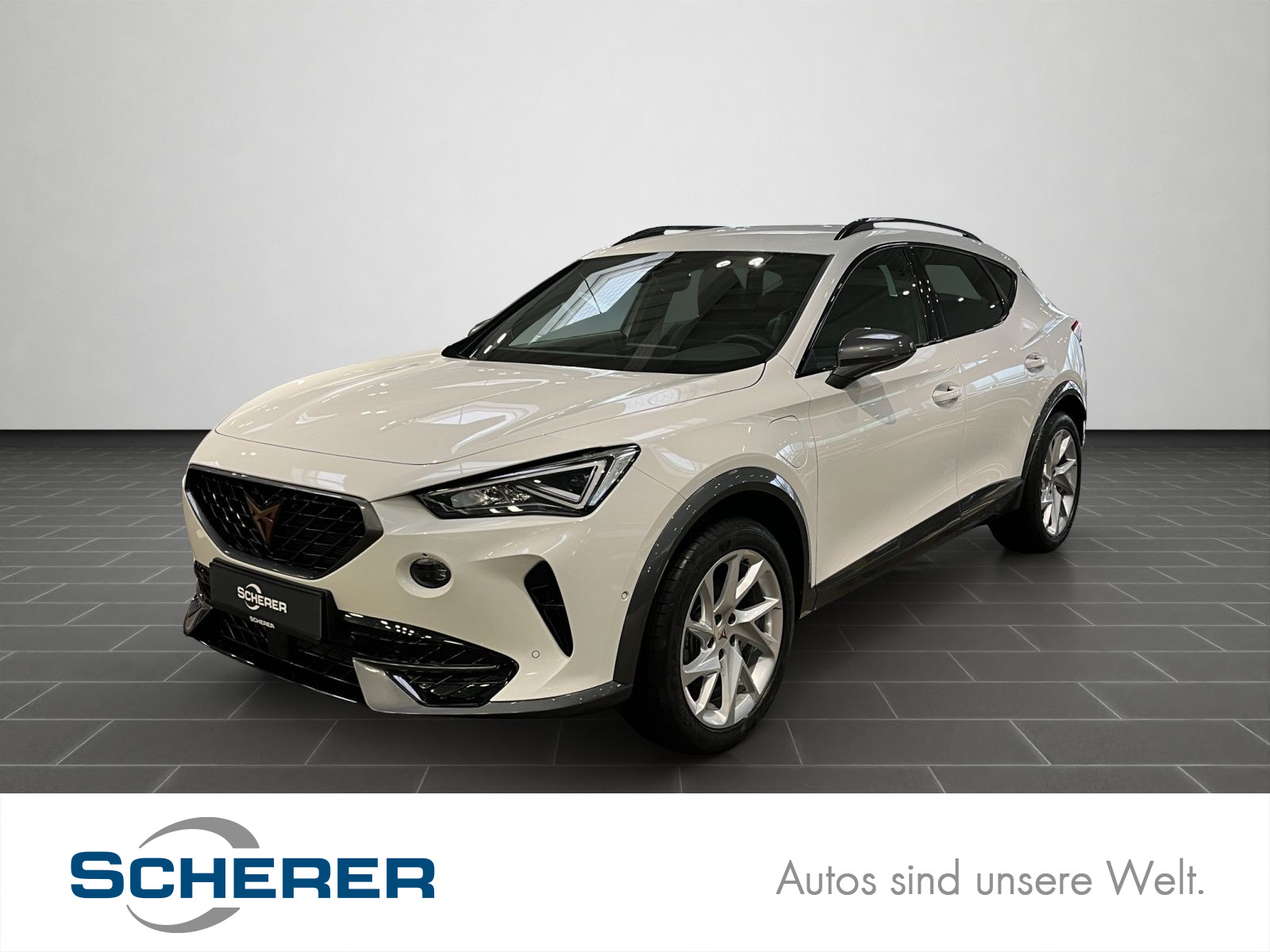 Formentor 1.4 e-hybrid DSG, AHK