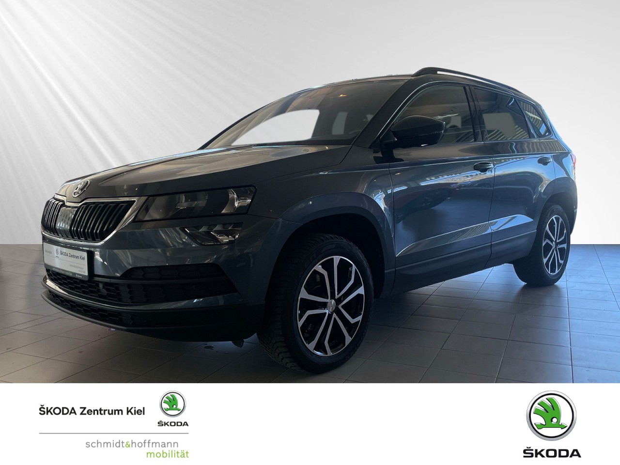 Karoq 2.0 TDI Style 4x4 (EURO 6d-TEMP) Klima