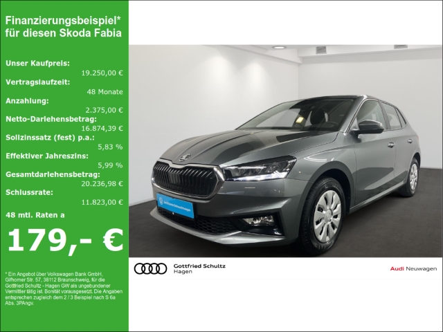 Fabia 1.0 TSI LED AHK GRA SHZ KLIMA Selection