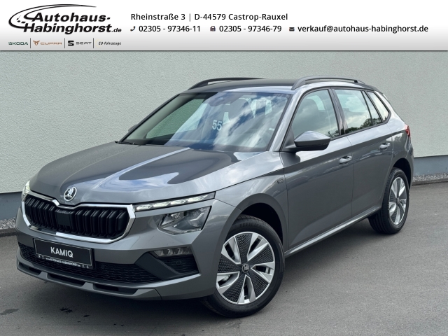 Skoda Kamiq 1.0 TSI FL Tour 17Alu