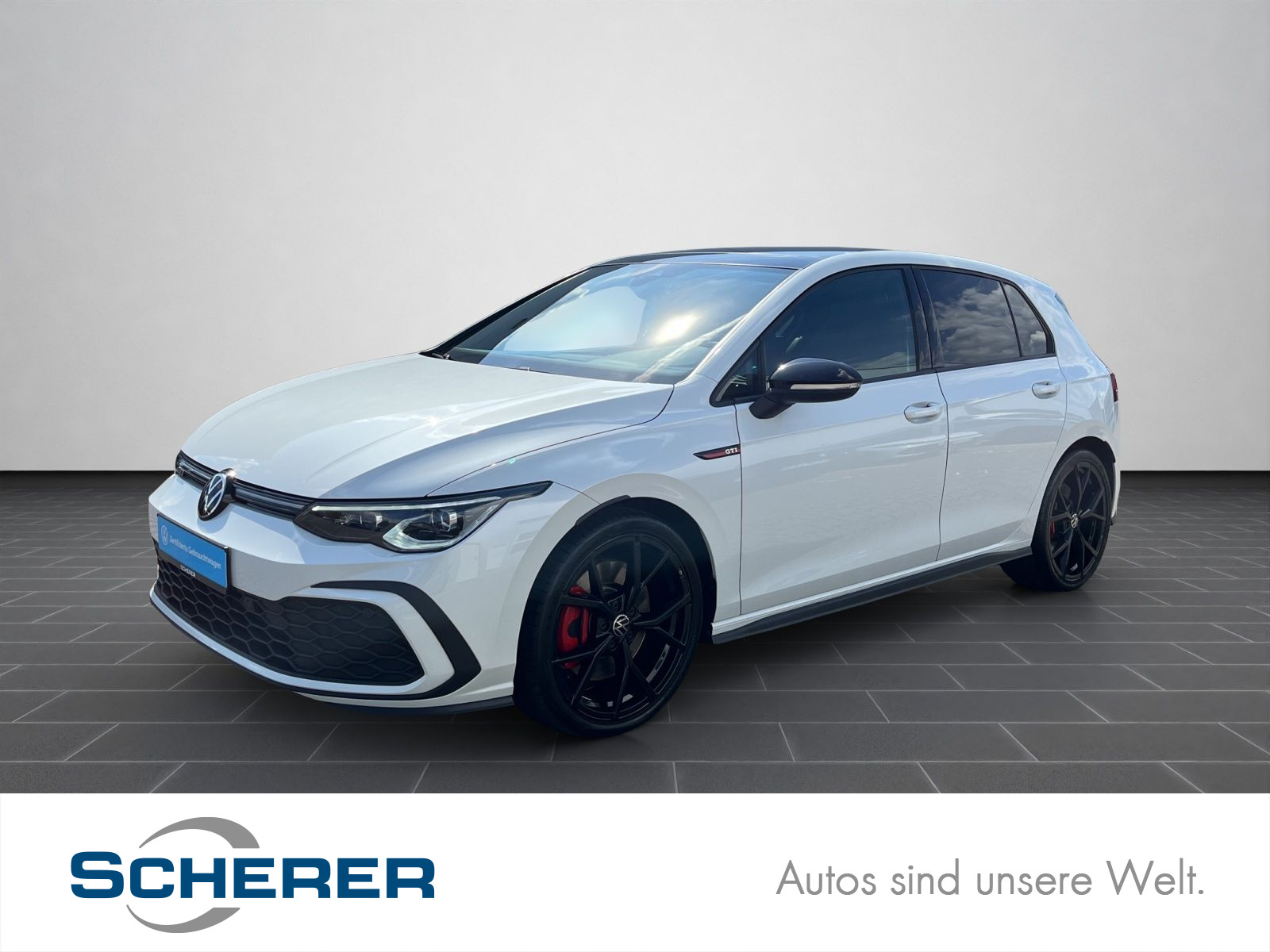 Golf VIII 2.0 TSI GTI DSG Matrix-LED/Rear View/Ambiente/Einparkhilfe uvm.