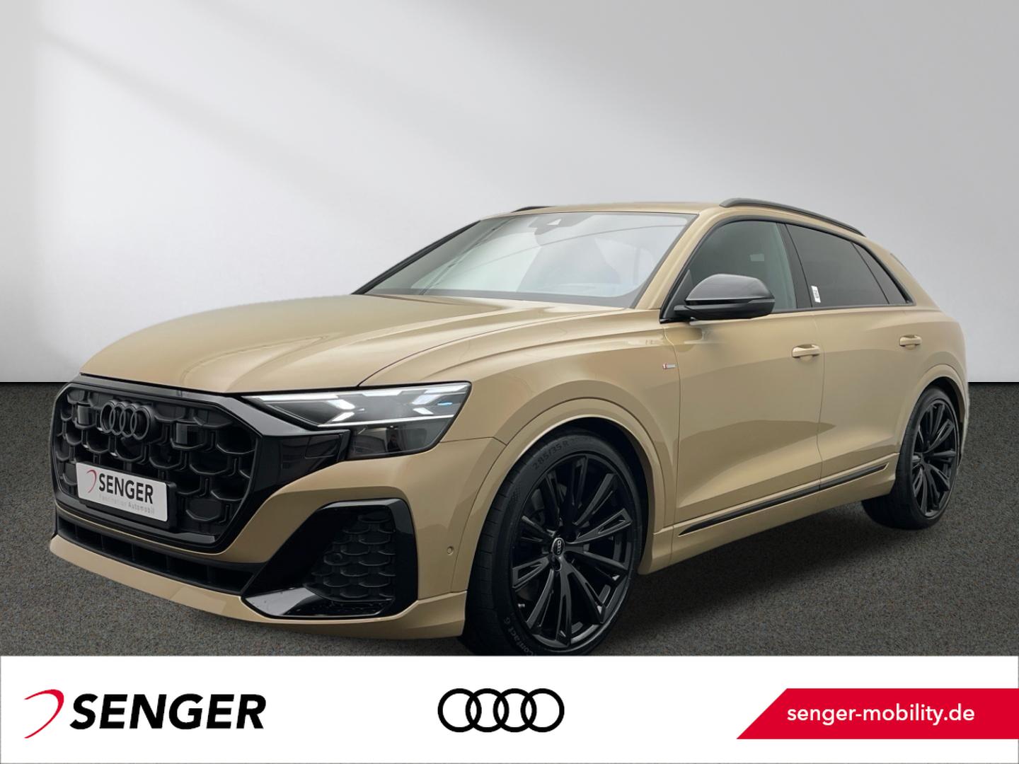 Audi Q8 50 TDI quattro Allradlenkung