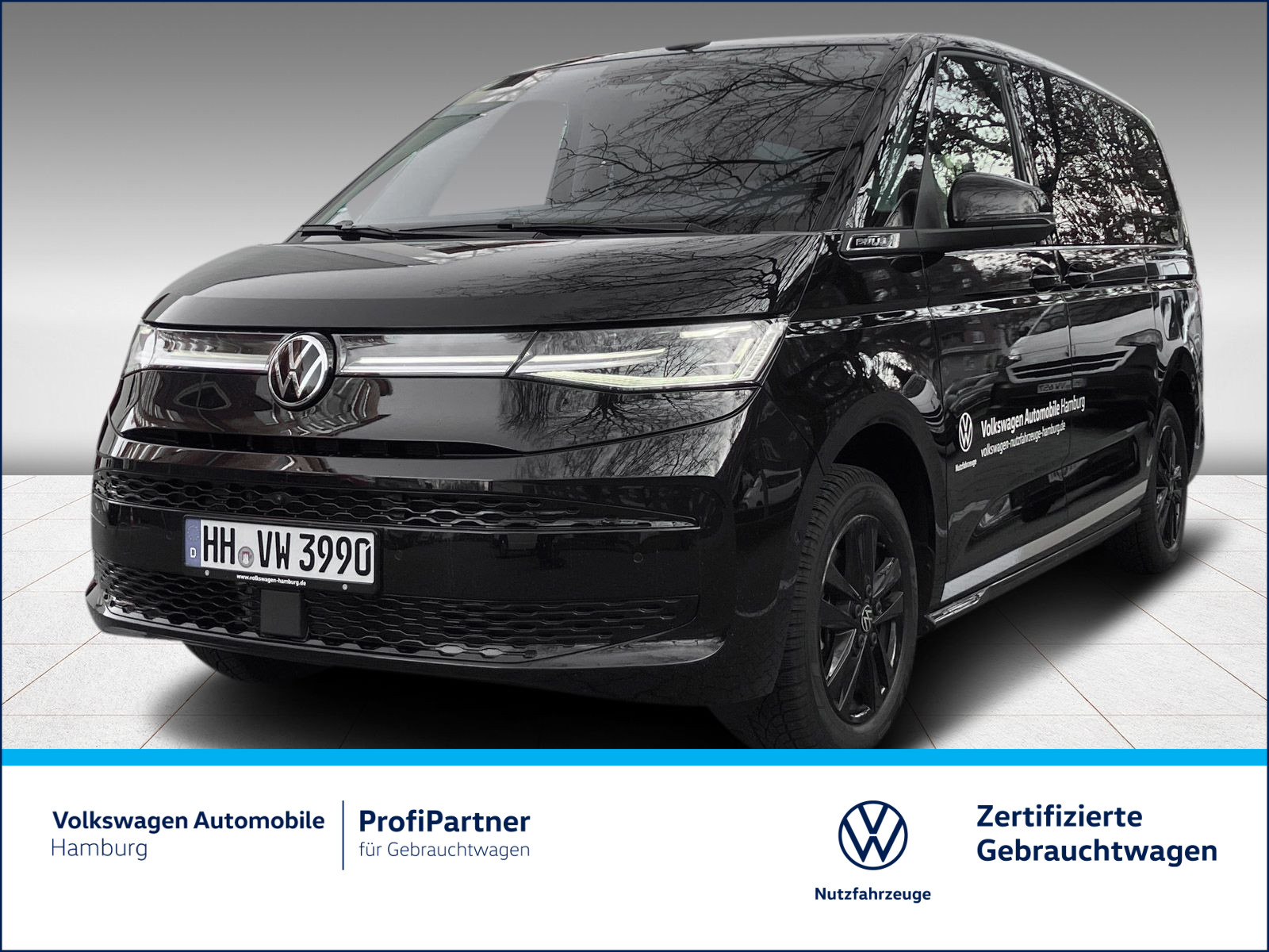 Multivan 2.0 TDI Goal lang DSG Panorama LED
