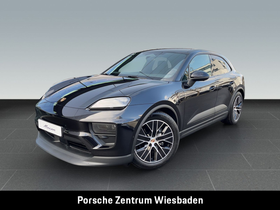Macan