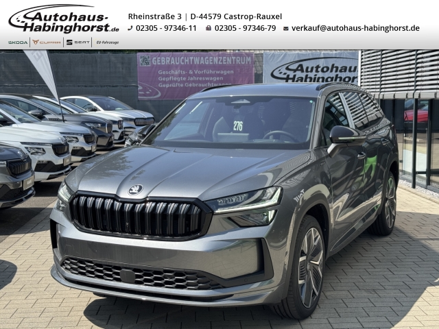 Kodiaq II 2.0 TDI DSG 4x4 Sportline 7-Sitzer 360 Pano Matrix