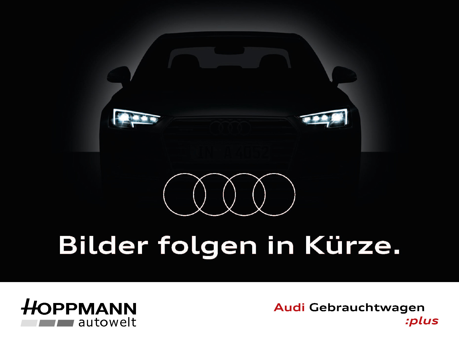 Audi e-tron nza 50 quattro Standklimatisierung