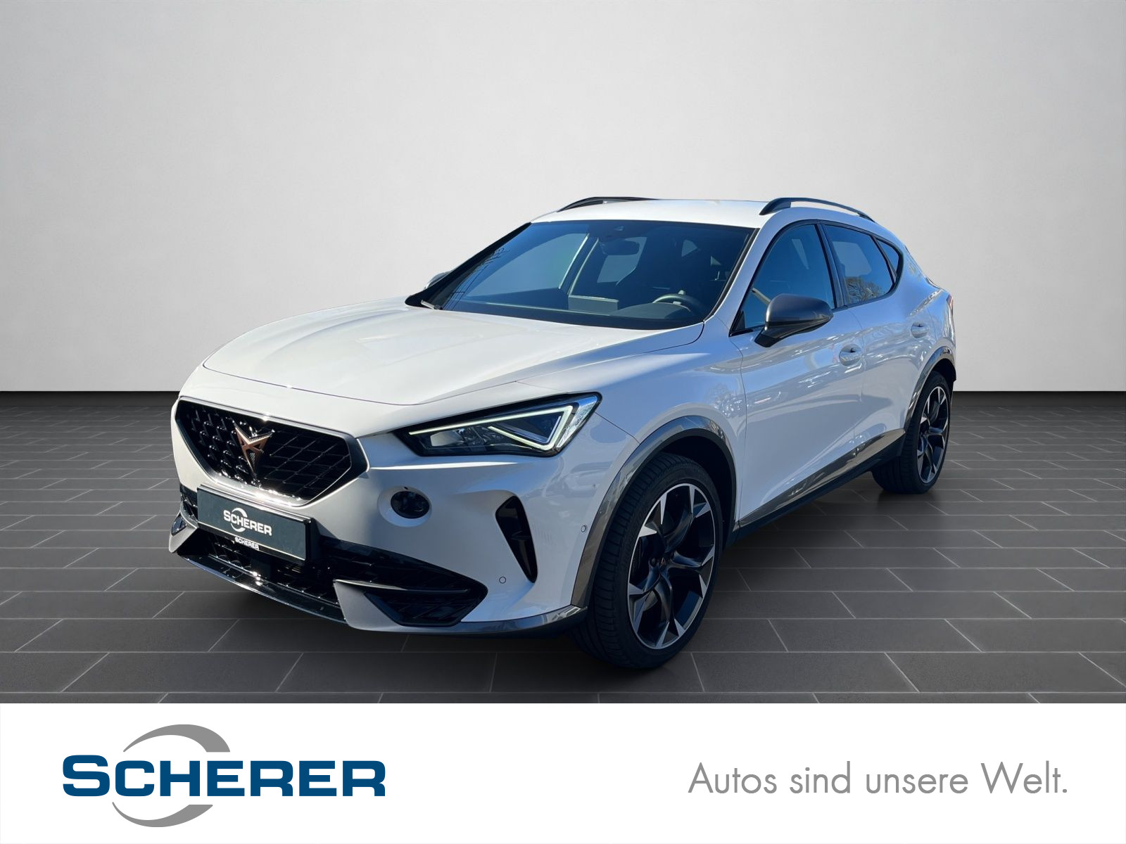Formentor VZ 2.0 TSI 4Drive