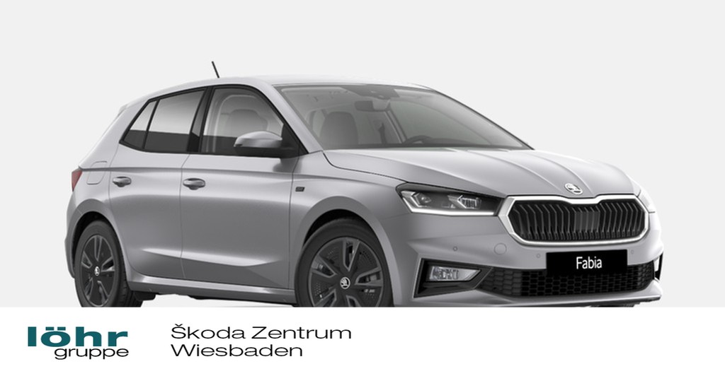 Fabia Tour 1.0 TSI 116PS DSG Fahrassi Winter