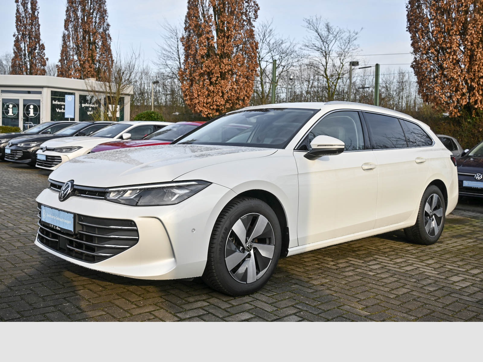 Passat Variant 1.5 eTSI Business IQ 360 AHK LM17