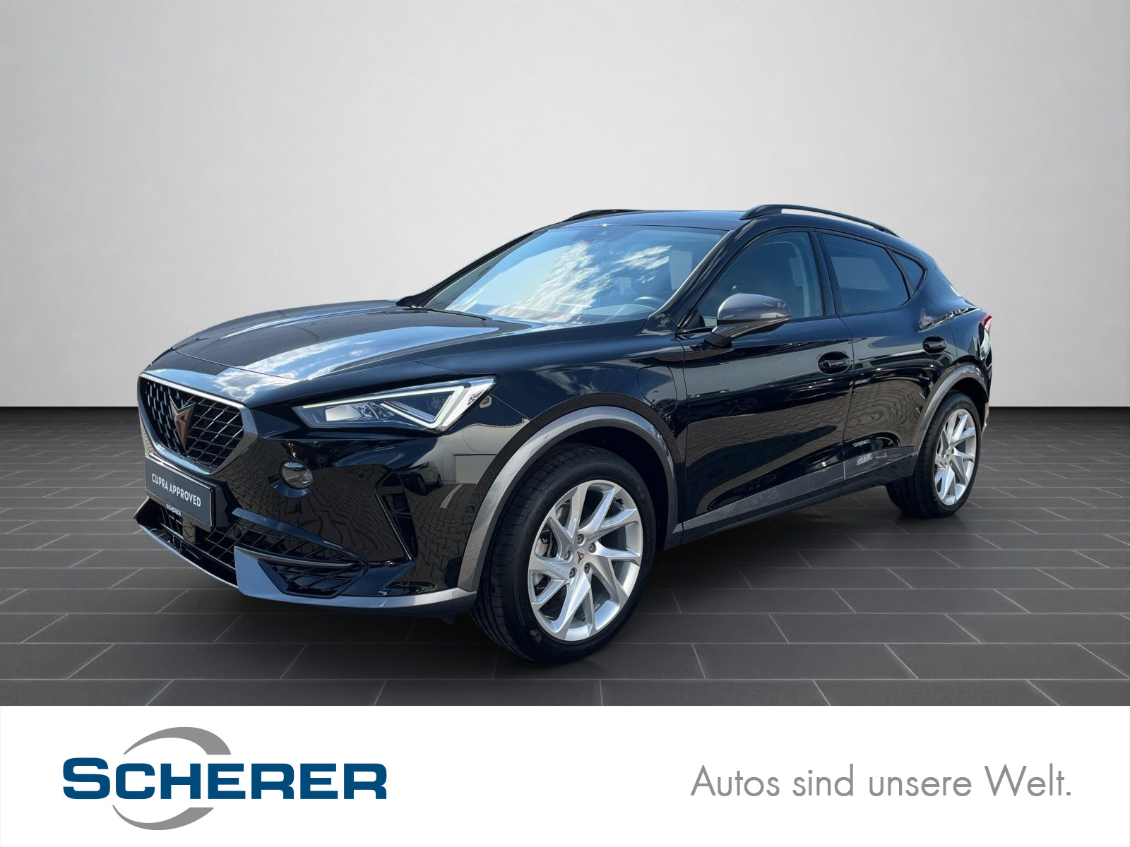Formentor 1.4 eHybrid DSG Optikpaket/Einparkhilfe/Ambiente/LED uvm.