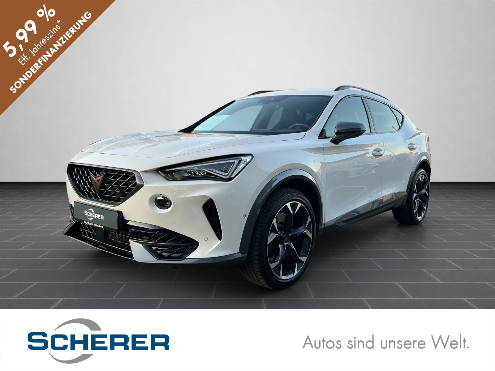 Formentor VZ 2.0 TSI DSG 4Drive NAVI FULL LINK SHZ