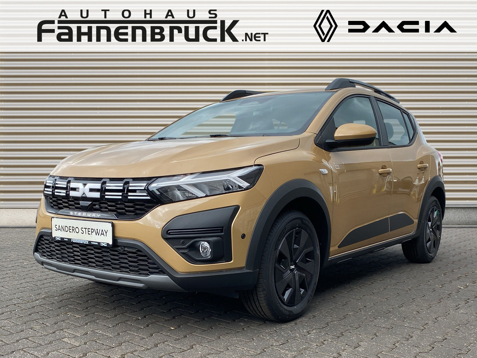 Sandero Stepway Expression ECO-G 100 Sitzheizung
