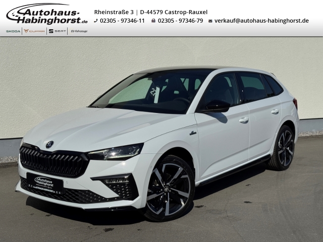 Scala FL 1.5 TSI DSG Monte Carlo AHK Navi Matrix Pano ACC