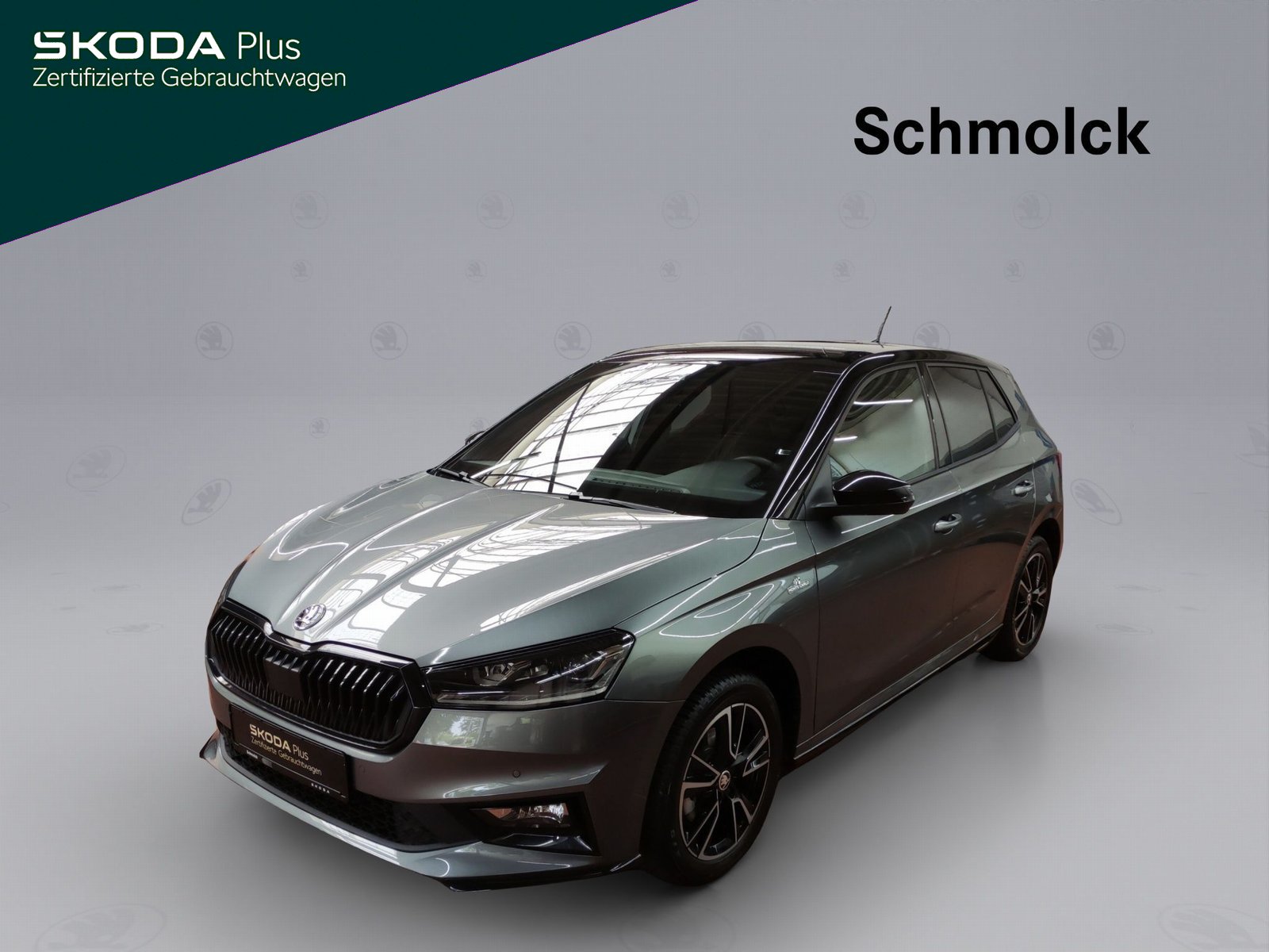 Fabia Monte Carlo 1.0 TSI DSG ACC NAVI LED RFK