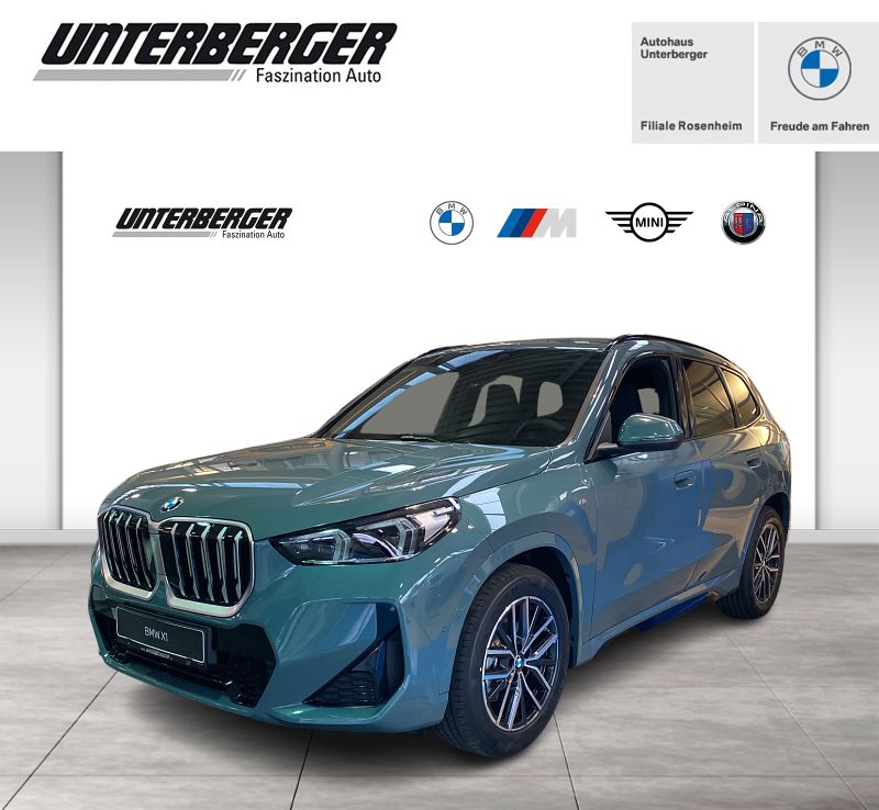 X1 sDrive18i M Sport AHK Hifi Sitzhzg. LED Driving Assist. Plus