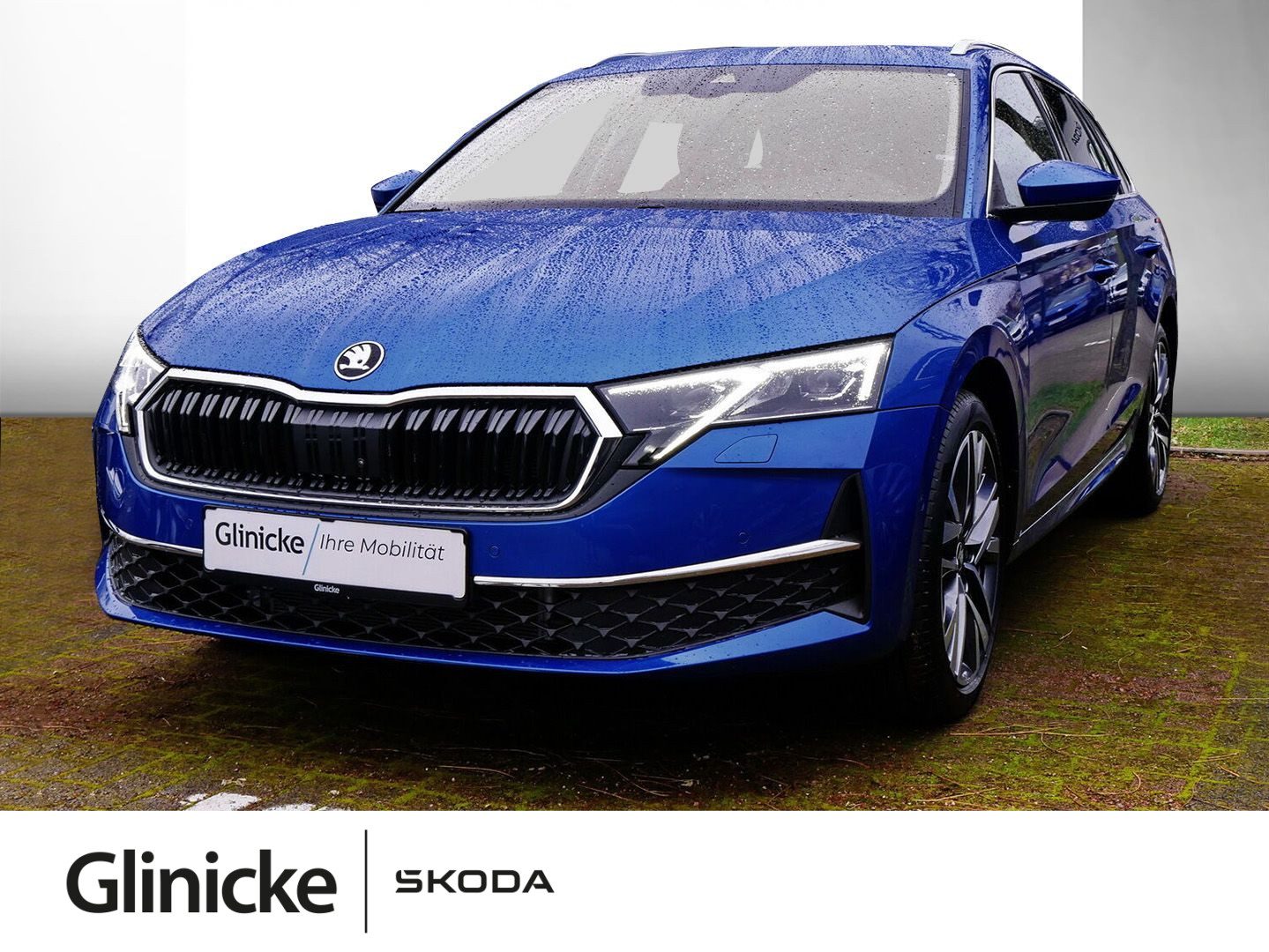 Octavia Combi Tour Sondermodell 2.0 TDI DSG