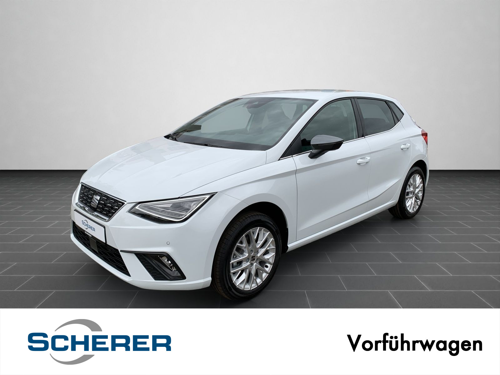 Ibiza Xcellence 1.0 TSI NAVI VOLL LED KESSY SHZ RFK