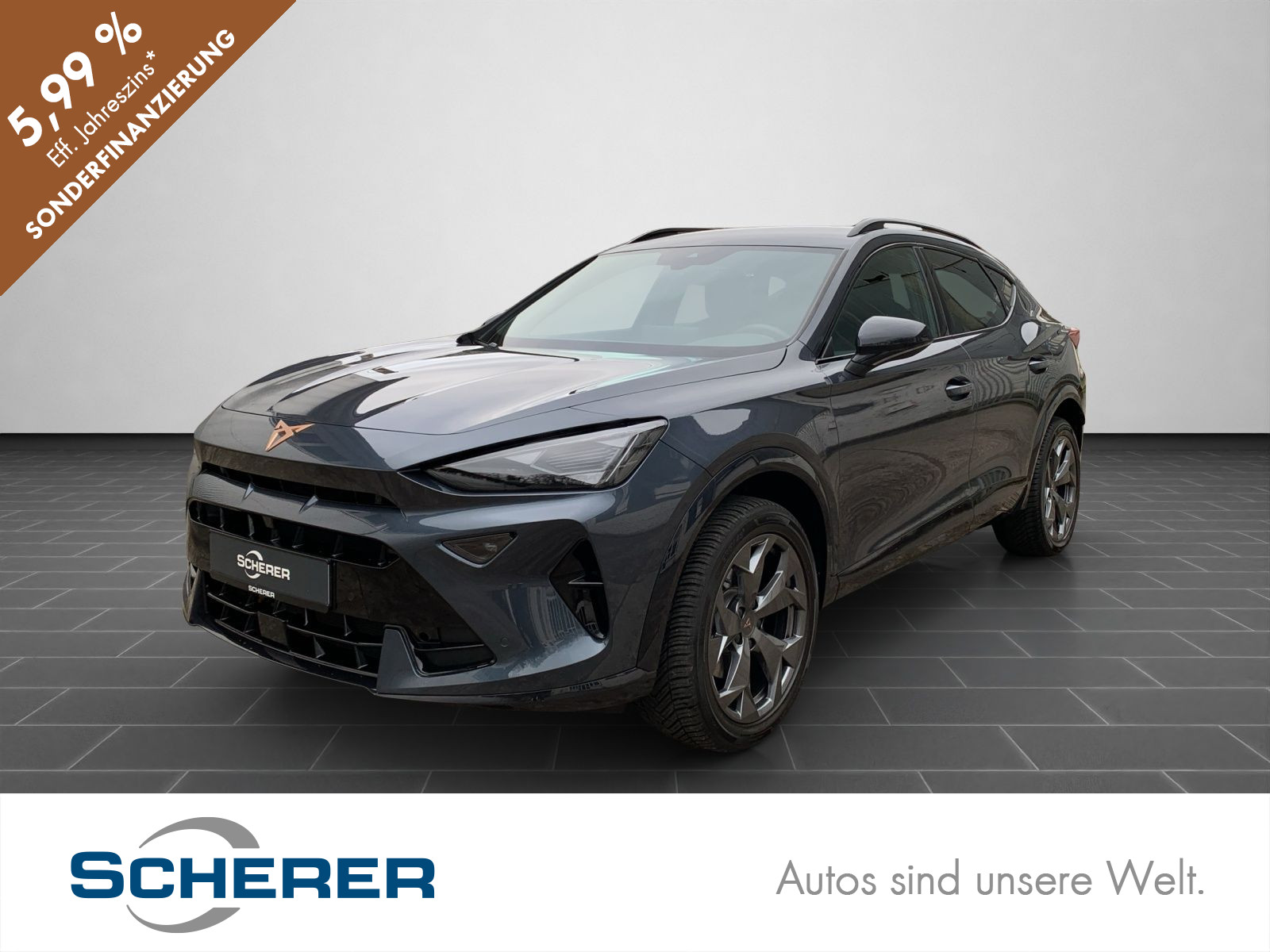 Formentor 1.5 eTSI DSG NEUES MODELL NAVI VOLL LED RFK SHZ