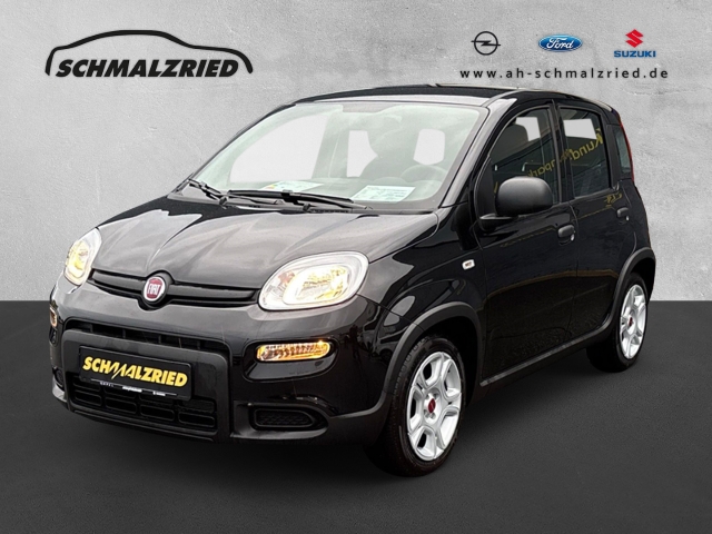 Panda Base 1.0 Mild Hybrid DAB Berganfahrass. Klima Freisprech BT eFH Tagfahrlicht