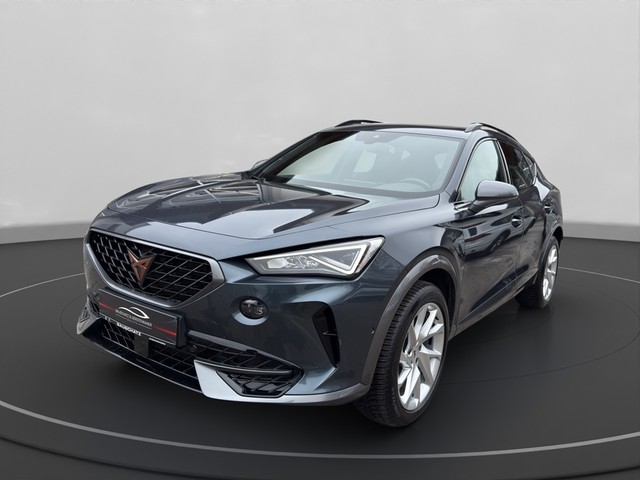 Formentor 2.0 TDI *AHK*PANO*NAVI*LED*KAMERA*SH*