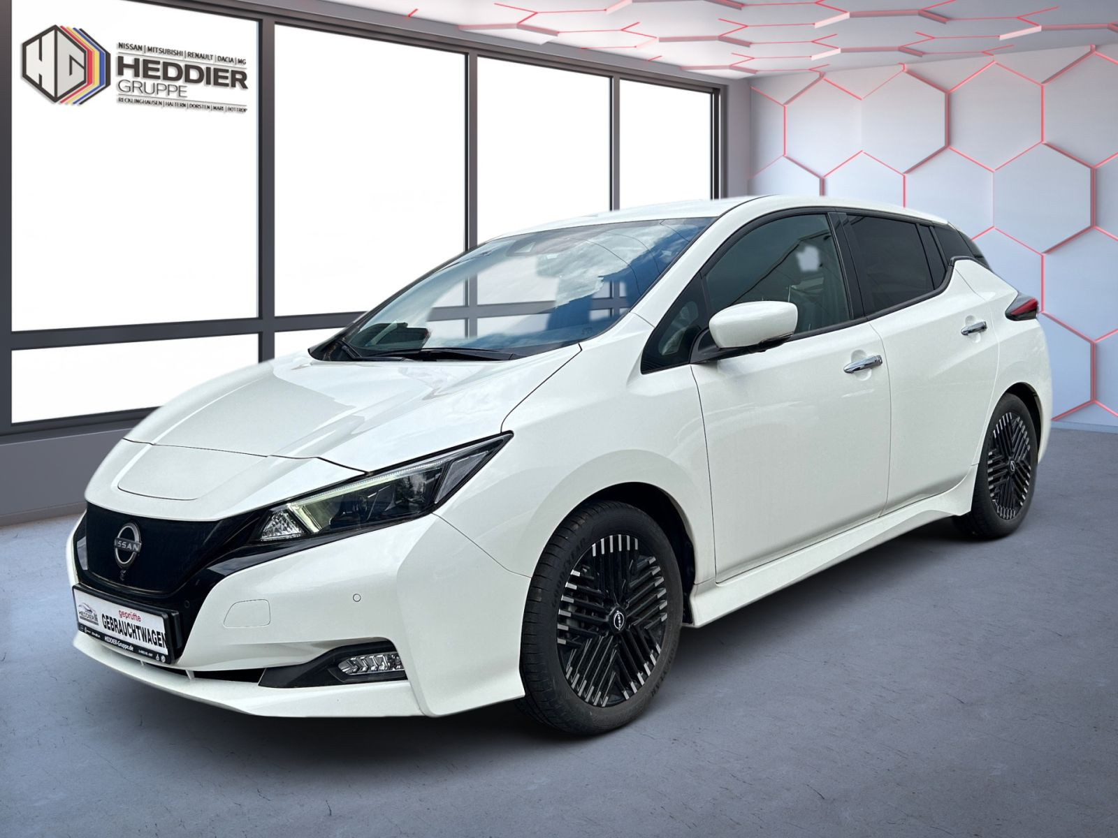 Leaf 40 KW Tekna *BOSE*NAVI*LEDER*